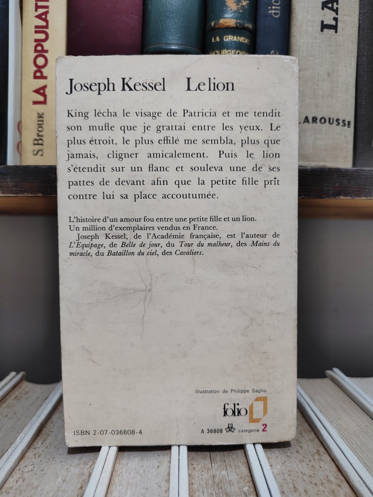 Kessel - Le lion