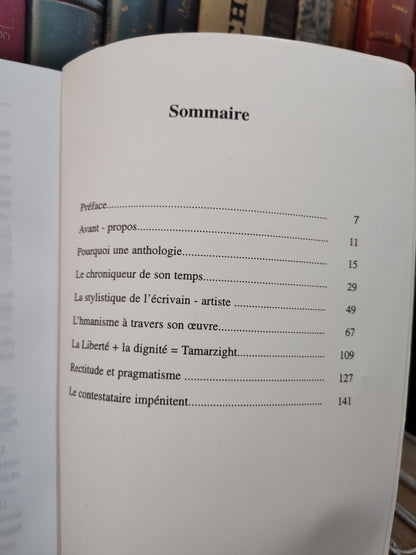 Khettouch - La mémoire de Tamazight l'œuvre d'Aherdan