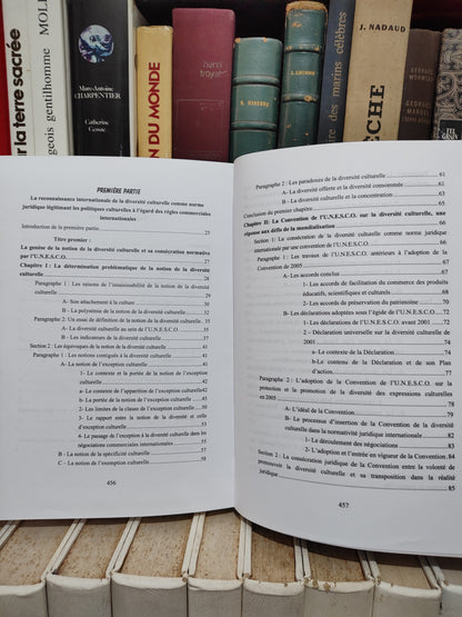 Khoulayfa - Les politiques culturelles et la norme juridique de la diversité culturelle à l'ère du numérique
