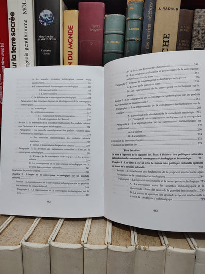 Khoulayfa - Les politiques culturelles et la norme juridique de la diversité culturelle à l'ère du numérique