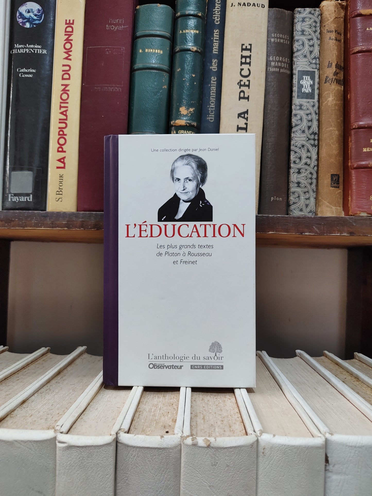 L'Éducation : Les plus grands textes de Platon à Rousseau et Freinet
