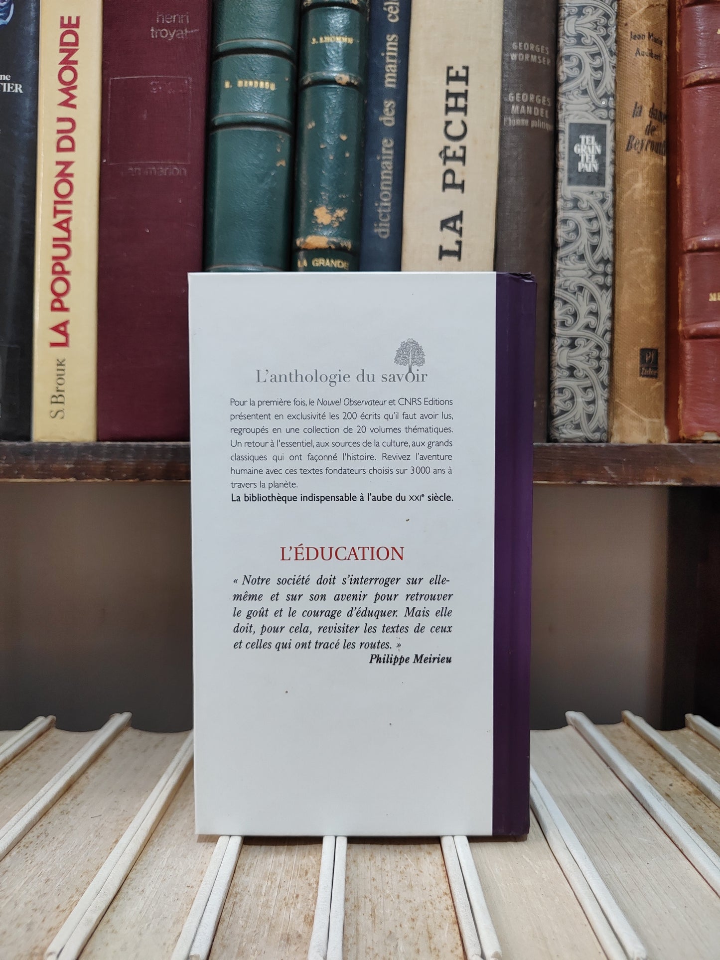 L'Éducation : Les plus grands textes de Platon à Rousseau et Freinet