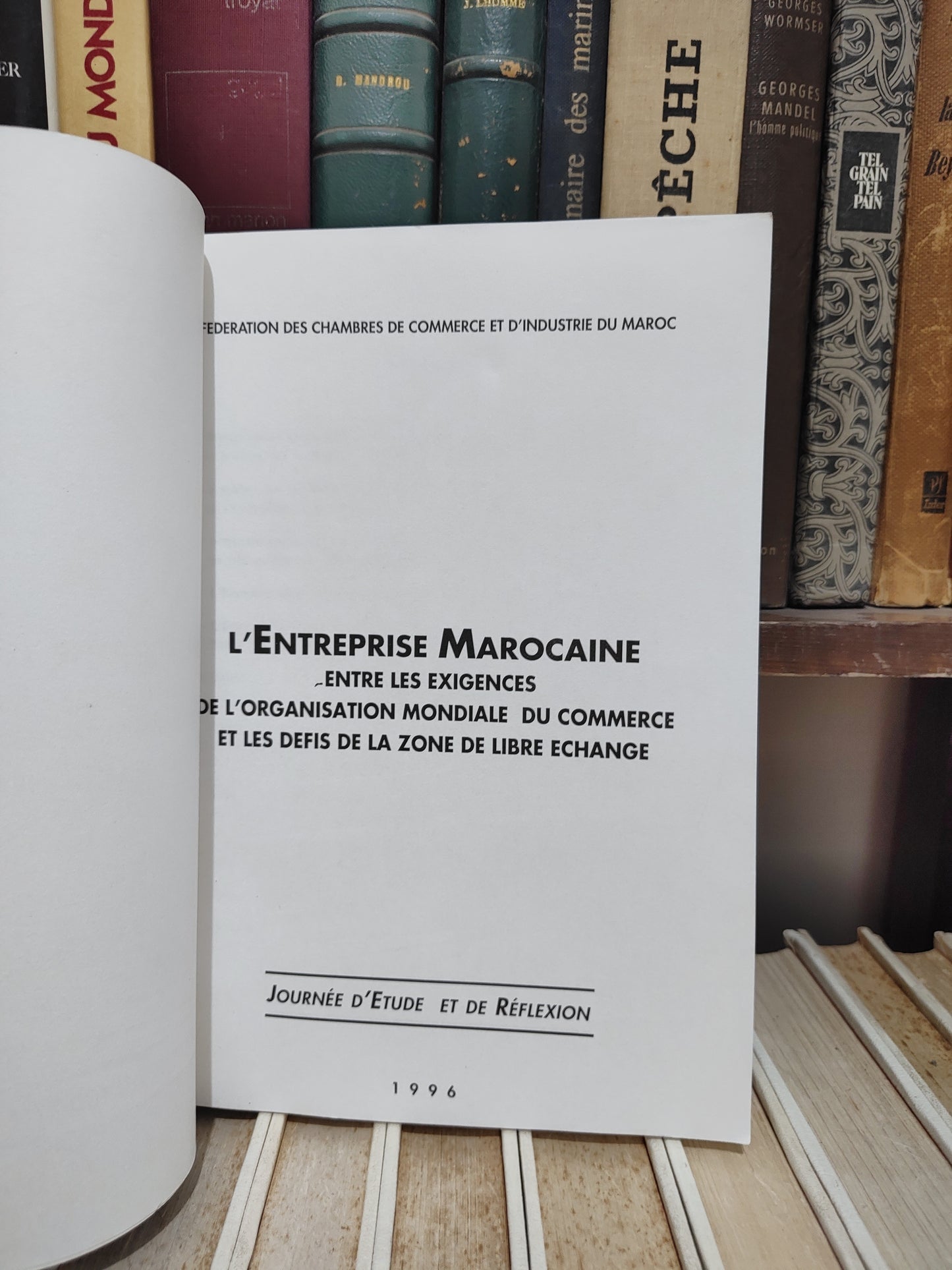 L'entreprise marocaine entre exigences de l'organisation mondiale du commerce et les défis de la zone de libre echange