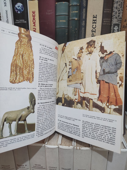 La Bible déchiffrée