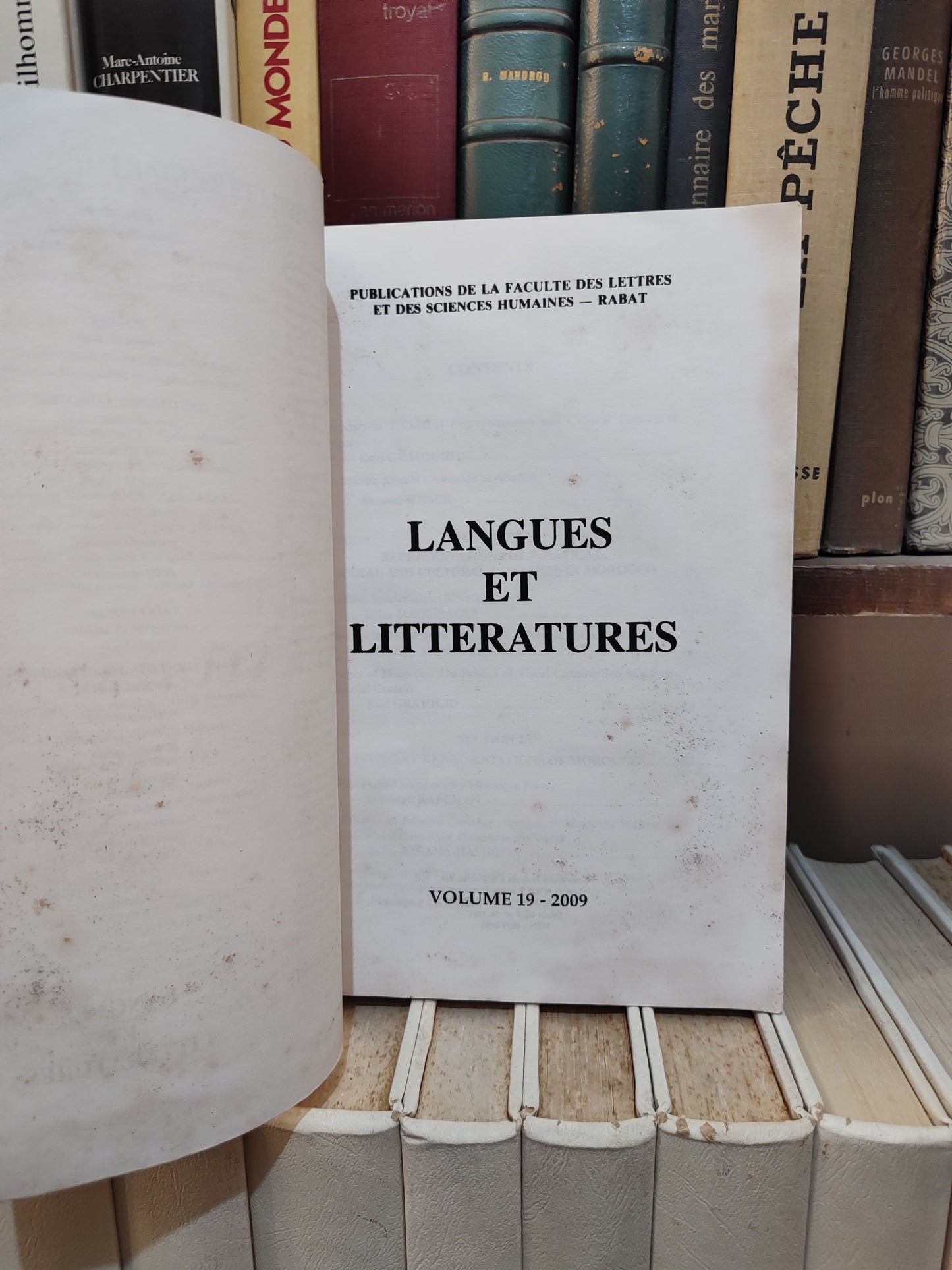 Langues et littératures Volume 19