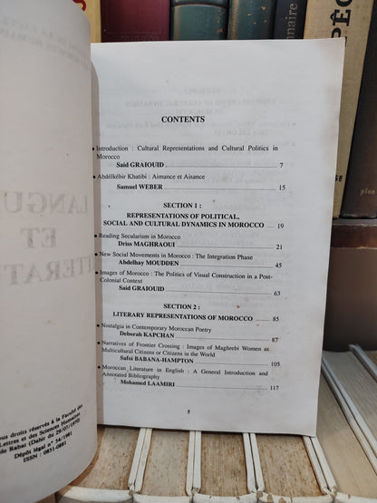Langues et littératures Volume 19