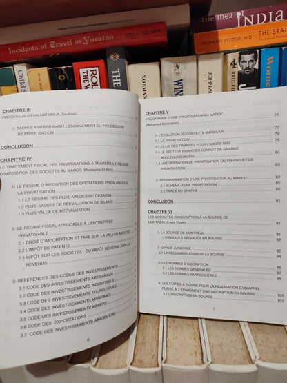 La privatisation comment ? audit et réforme administrative