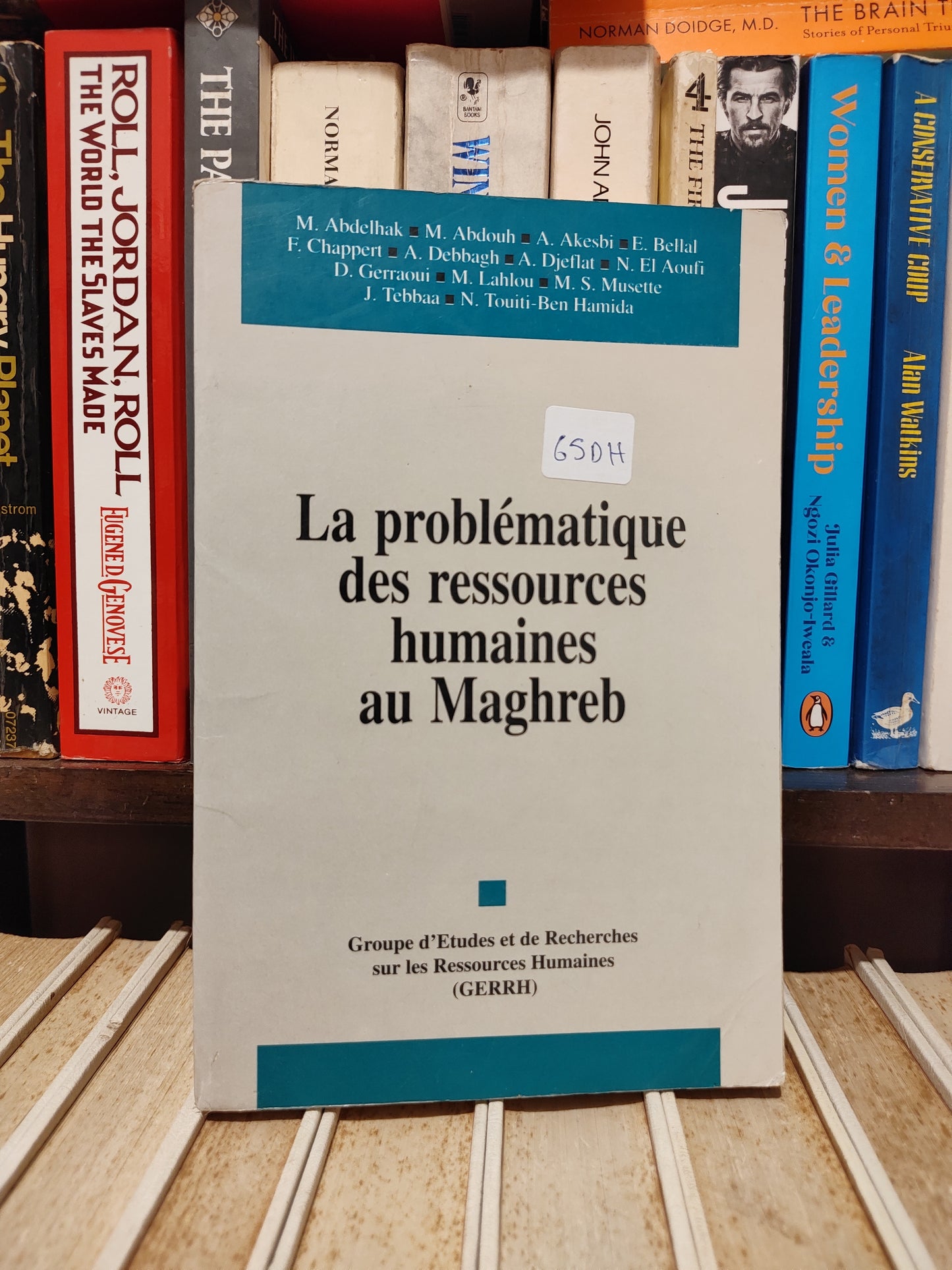 La problématique des ressources humaines au Maghreb