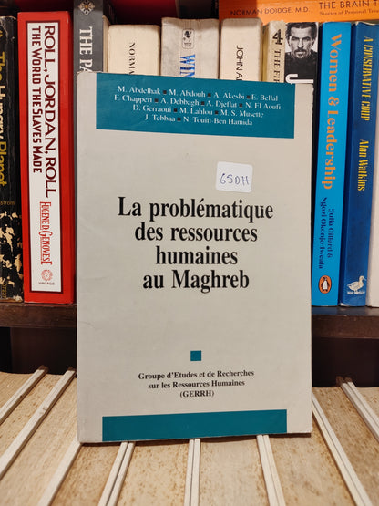 La problématique des ressources humaines au Maghreb