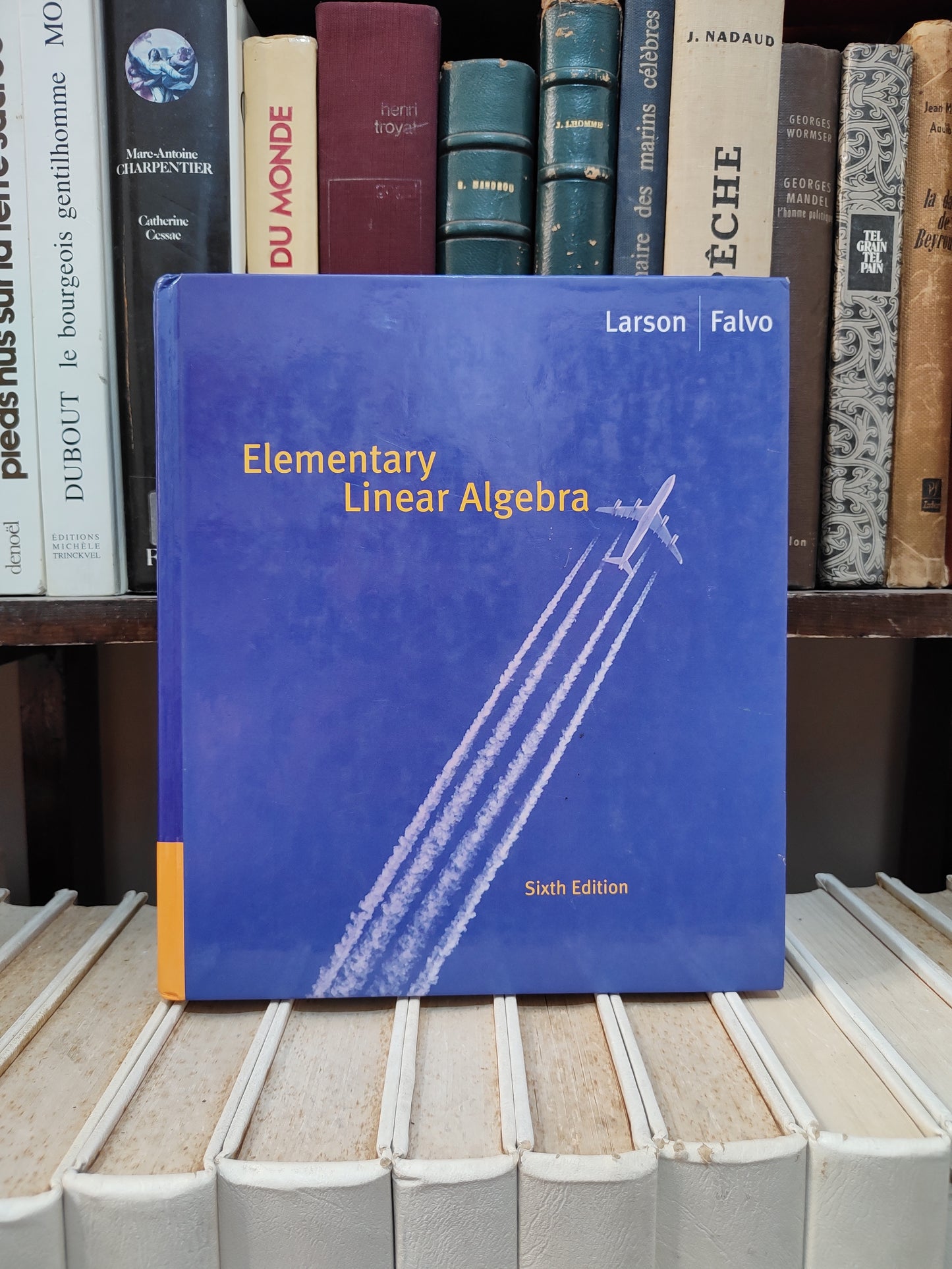 Larson - Elementary Linear ALgebra