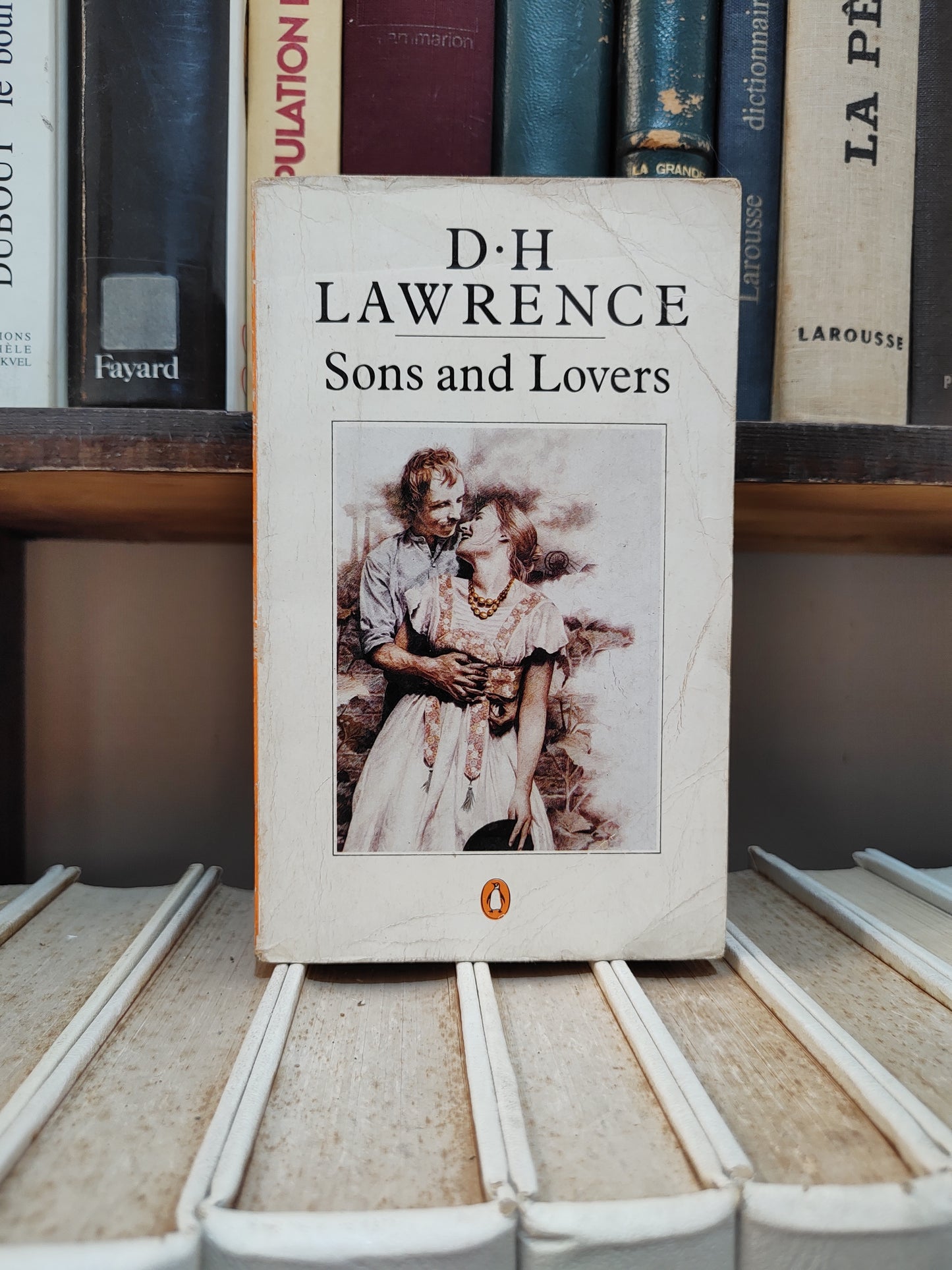 Lawrence - Sons and lovers