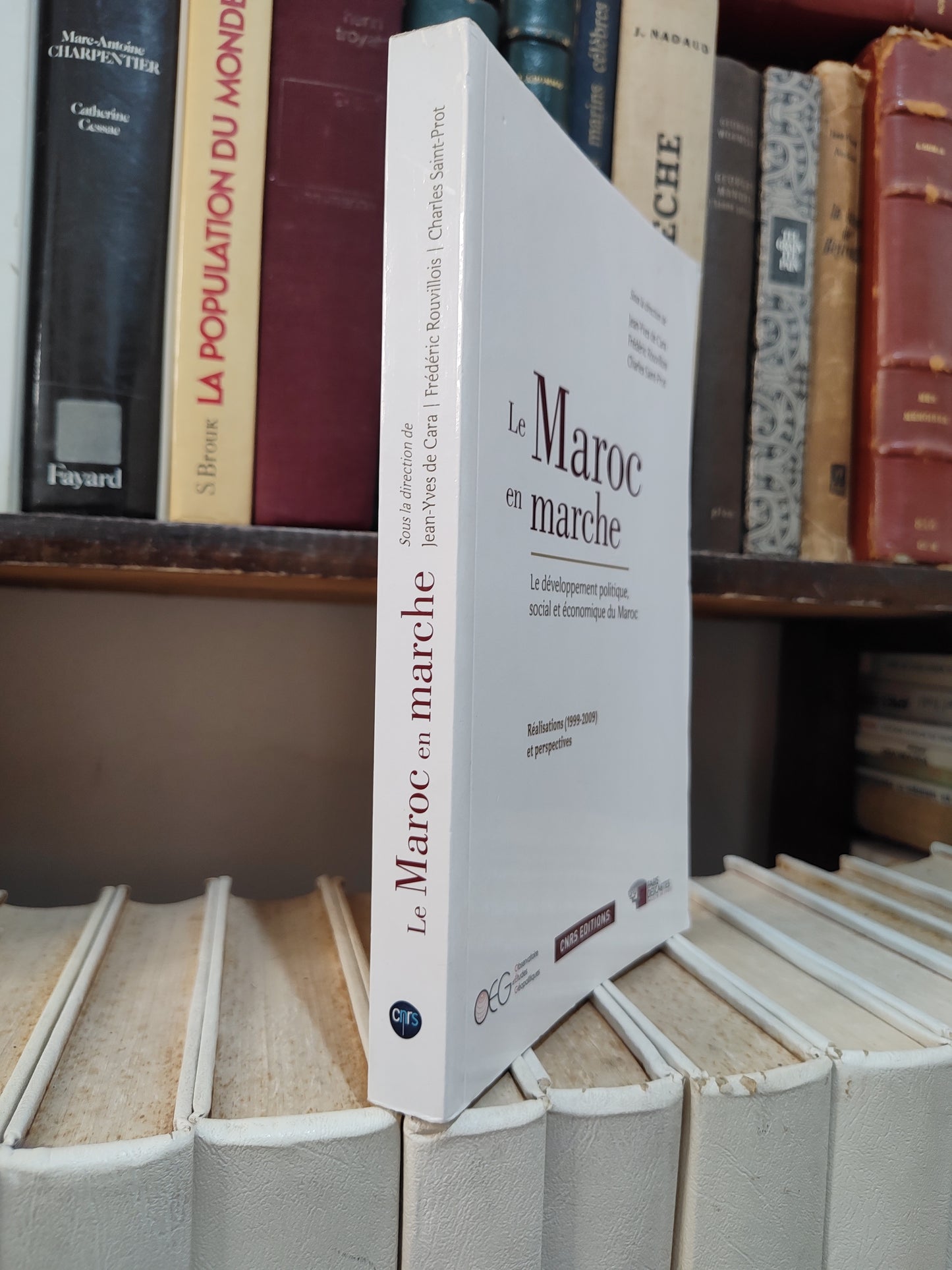 Le Maroc en marche : Le développement politique, social et économique du Maroc
