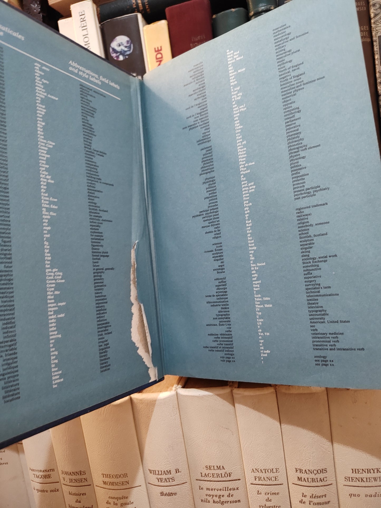 Le Robert et Collins Dictionnaire Français Anglais / English French