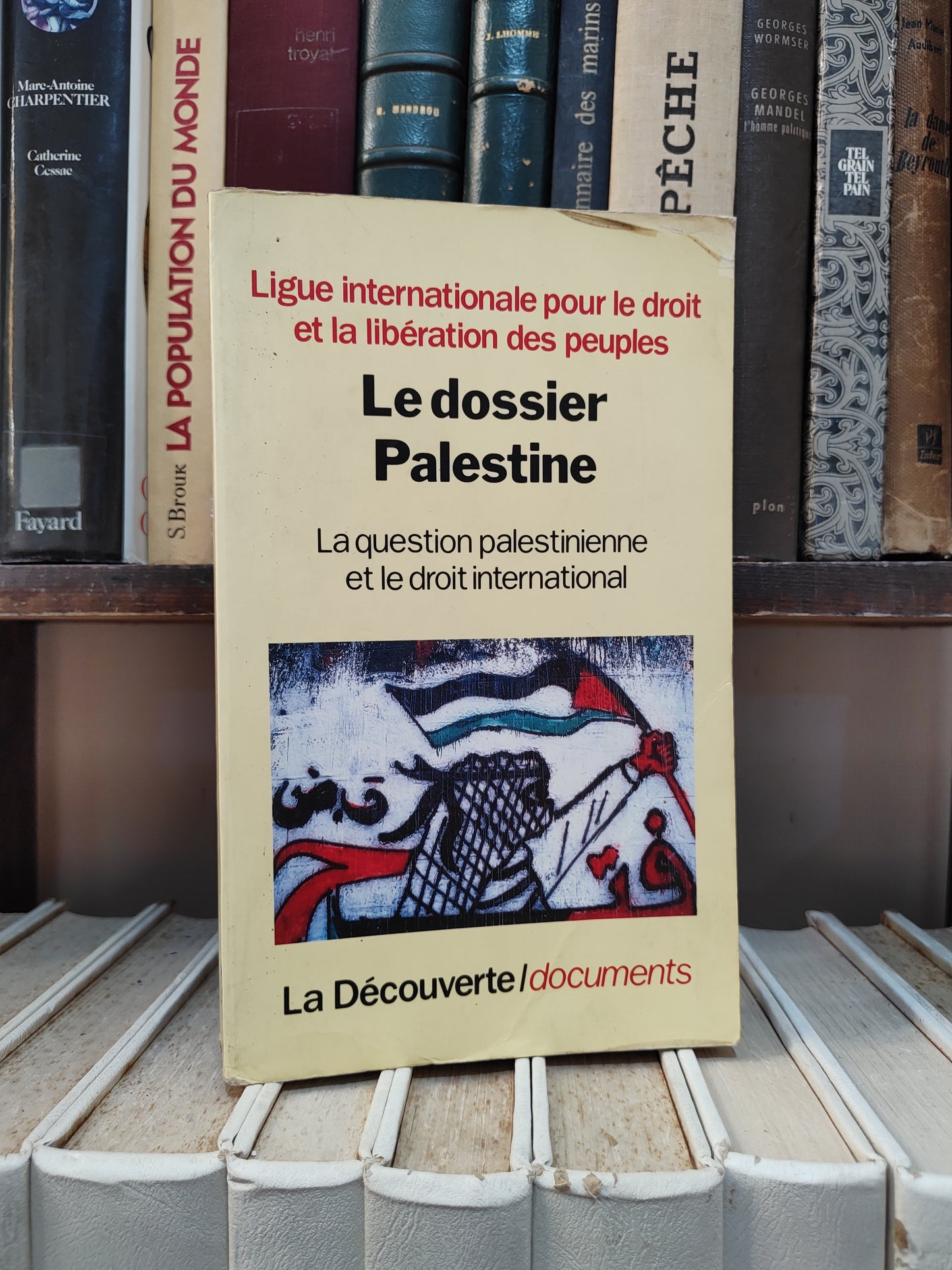 Le dossier Palestine la question palestinienne et le droit international