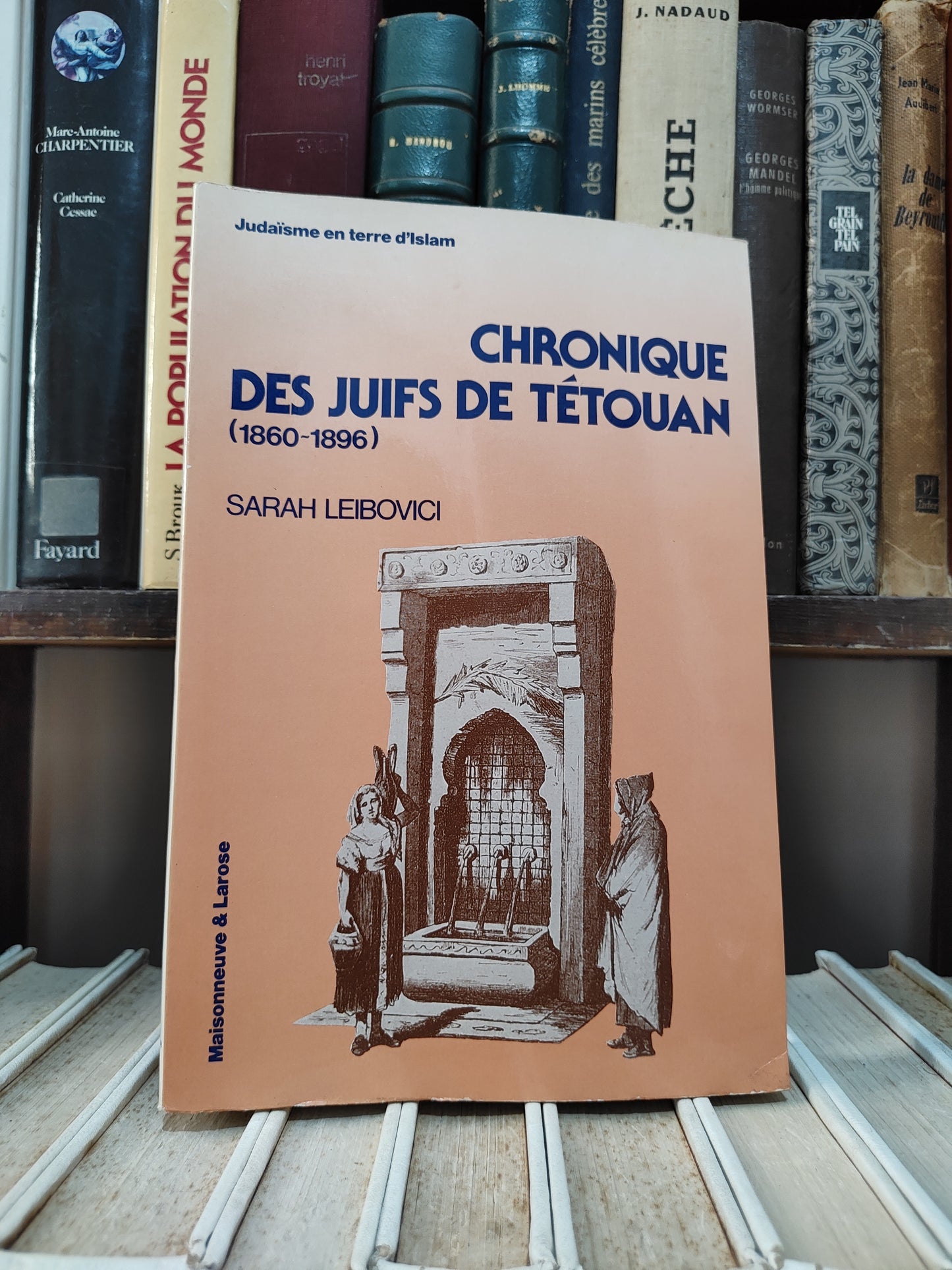 Leibovici - Chronique des juifs de Tétouan