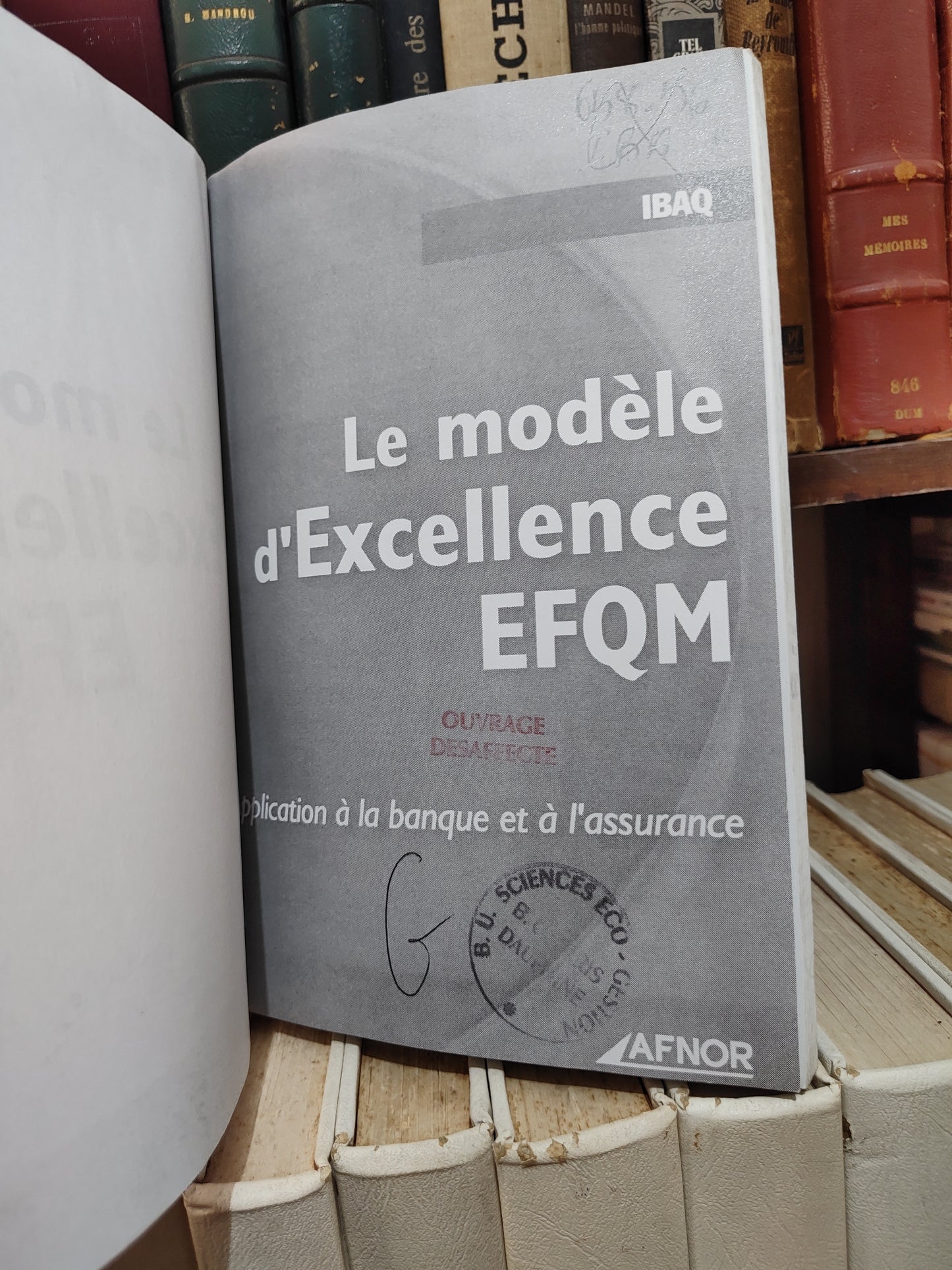 Le modèle d'excellence EFQM : application à la banque et à l'assurance