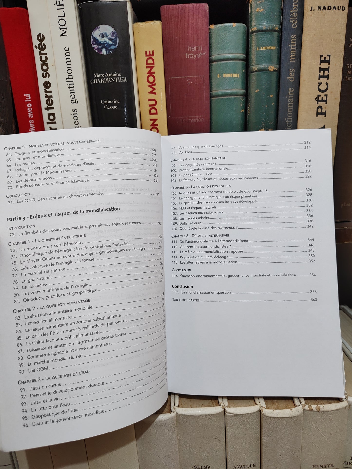 Le monde en fiches - La mondialisation ; histoire géographie et géopolitique