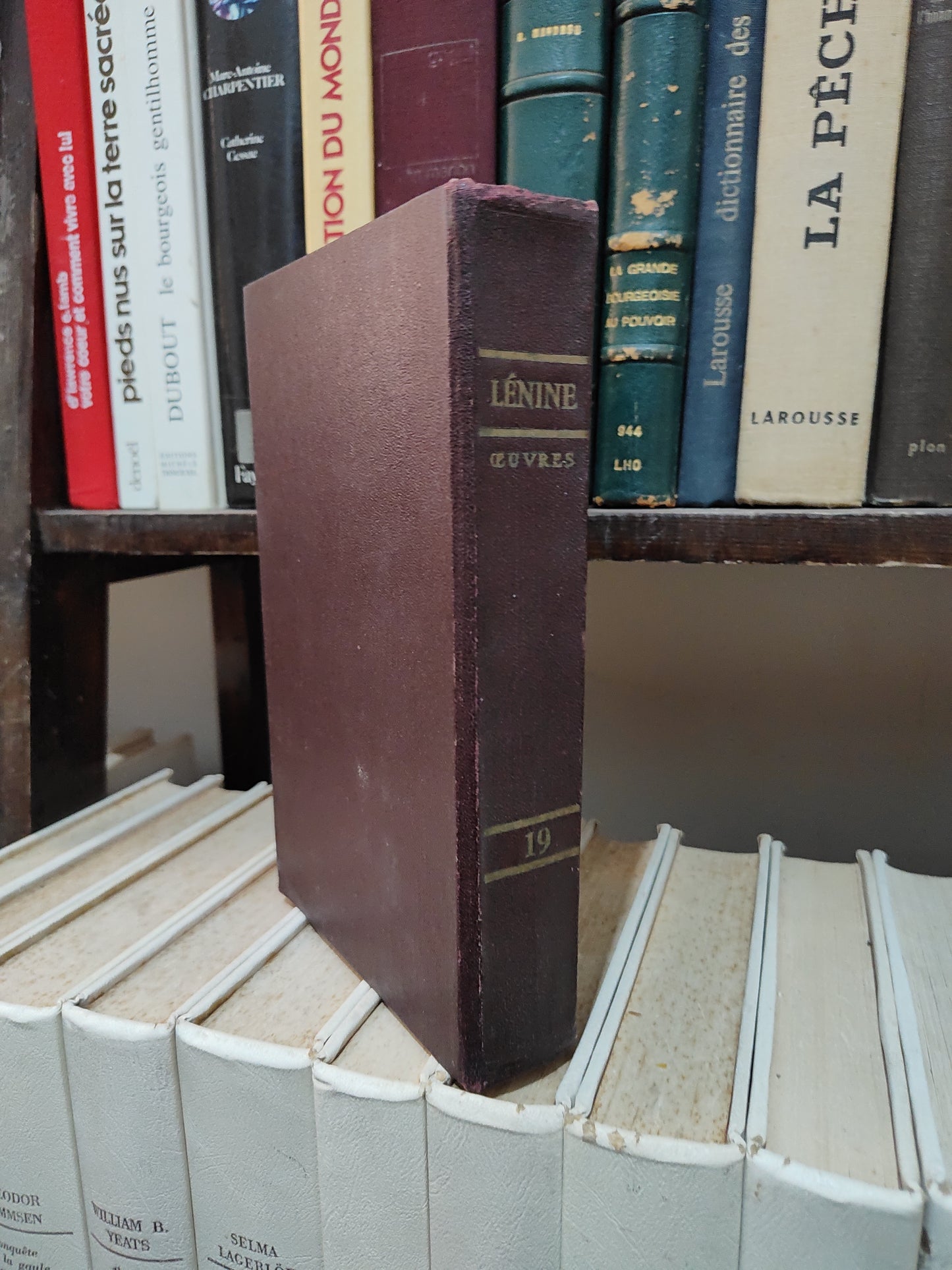 Lénine Œuvres Tome 19