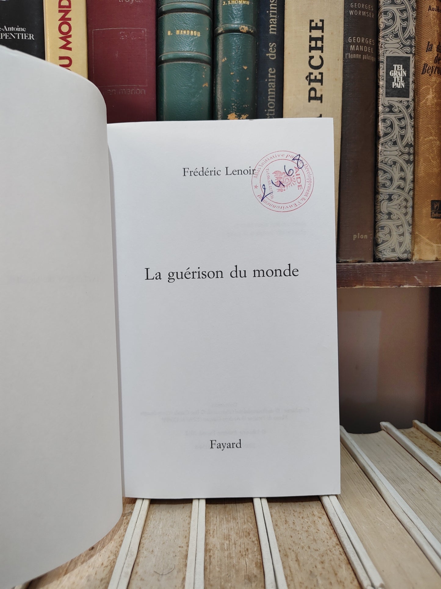 Lenoir - La guérison du monde