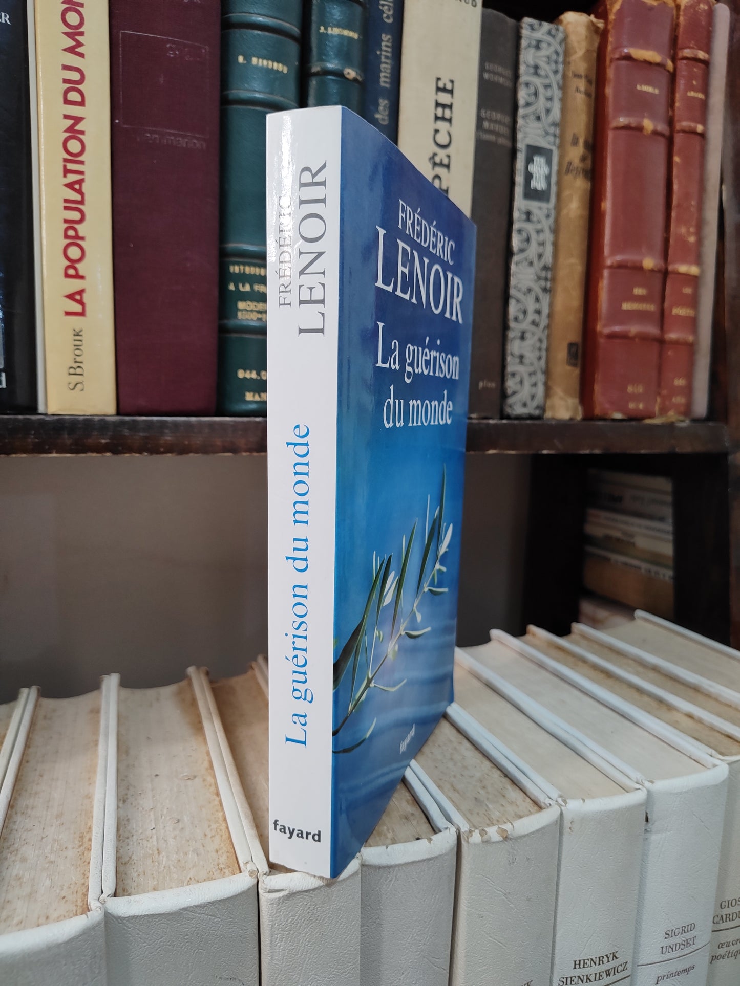 Lenoir - La guérison du monde