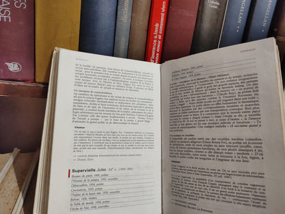 Les auteurs de la littérature français larousse