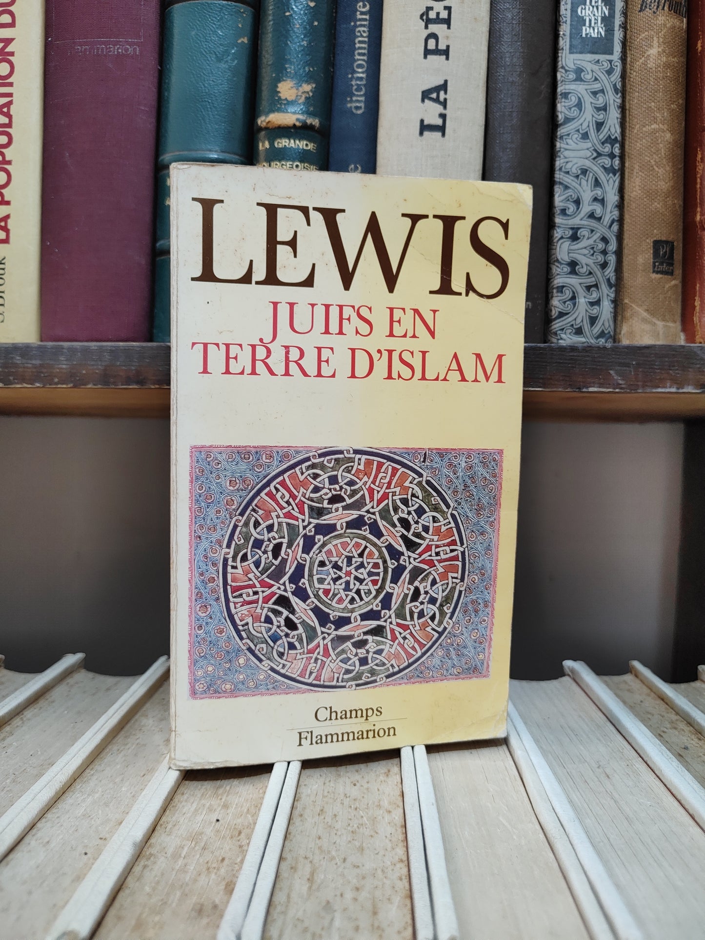 Lewis - Juifs en terre d'Islam