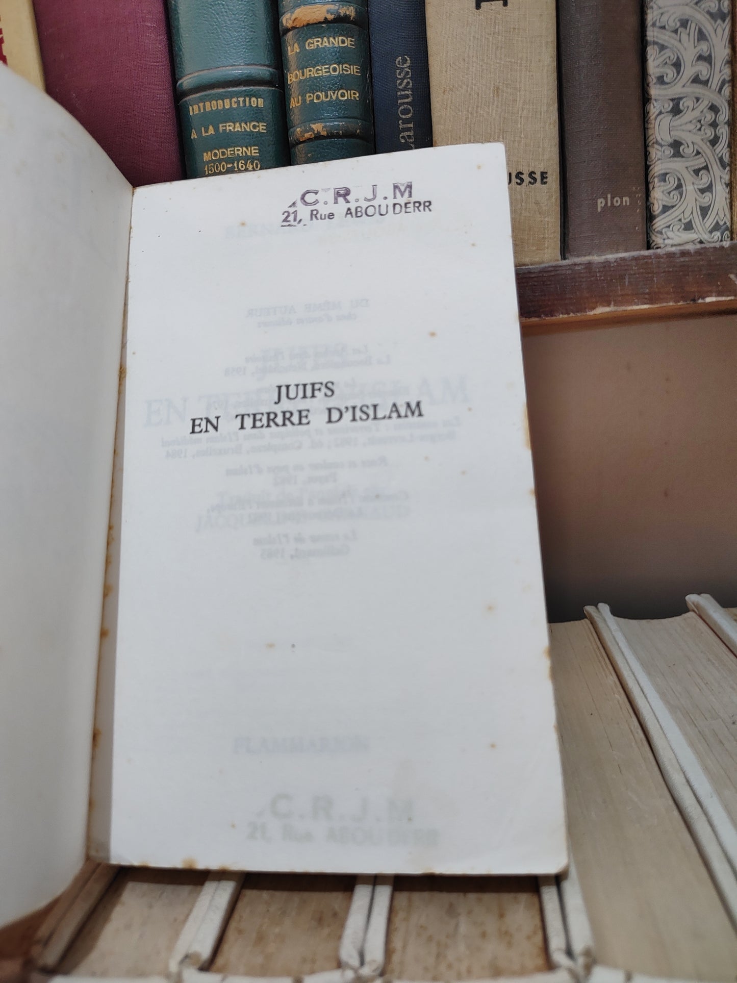 Lewis - Juifs en terre d'Islam