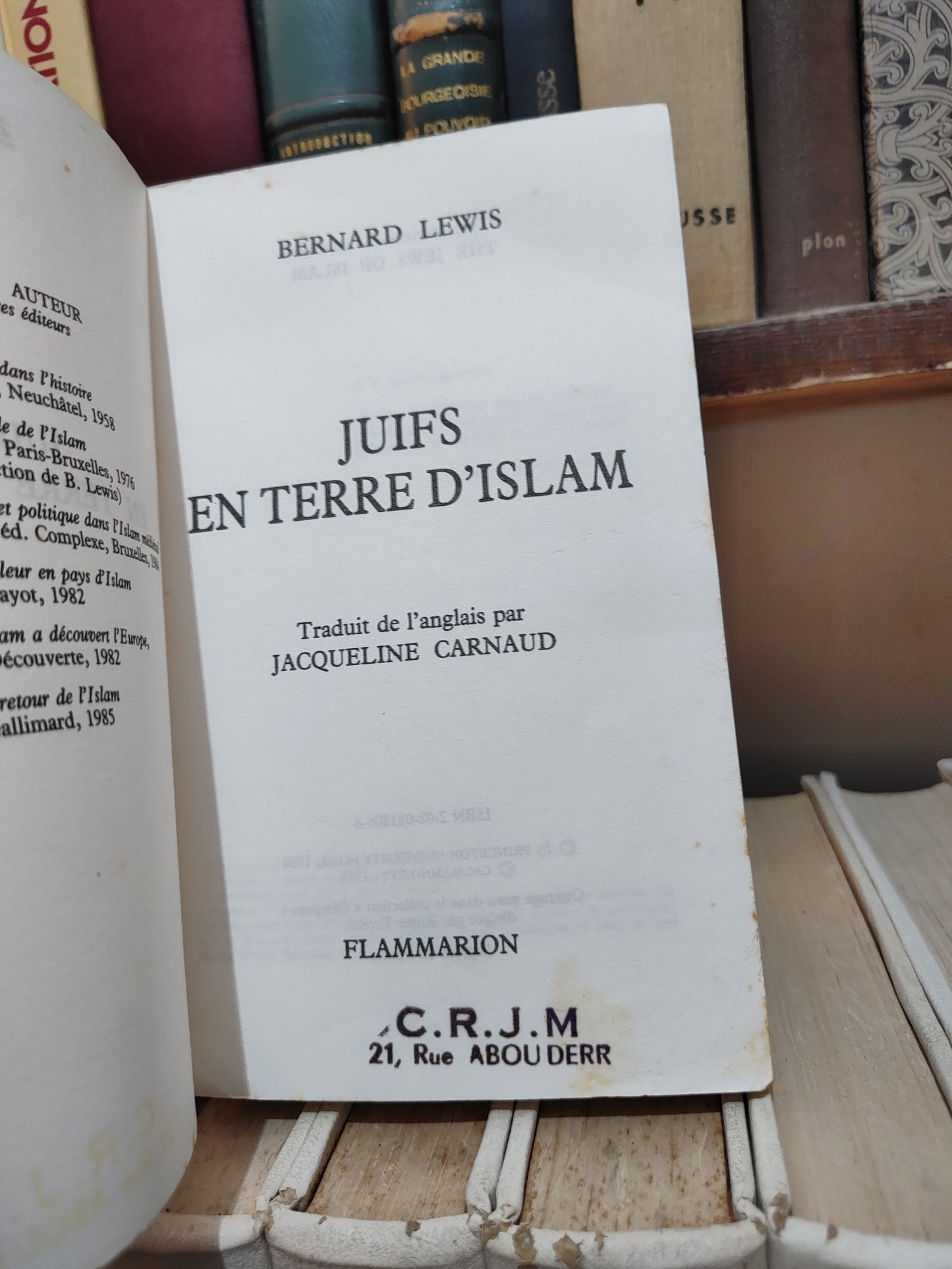 Lewis - Juifs en terre d'Islam