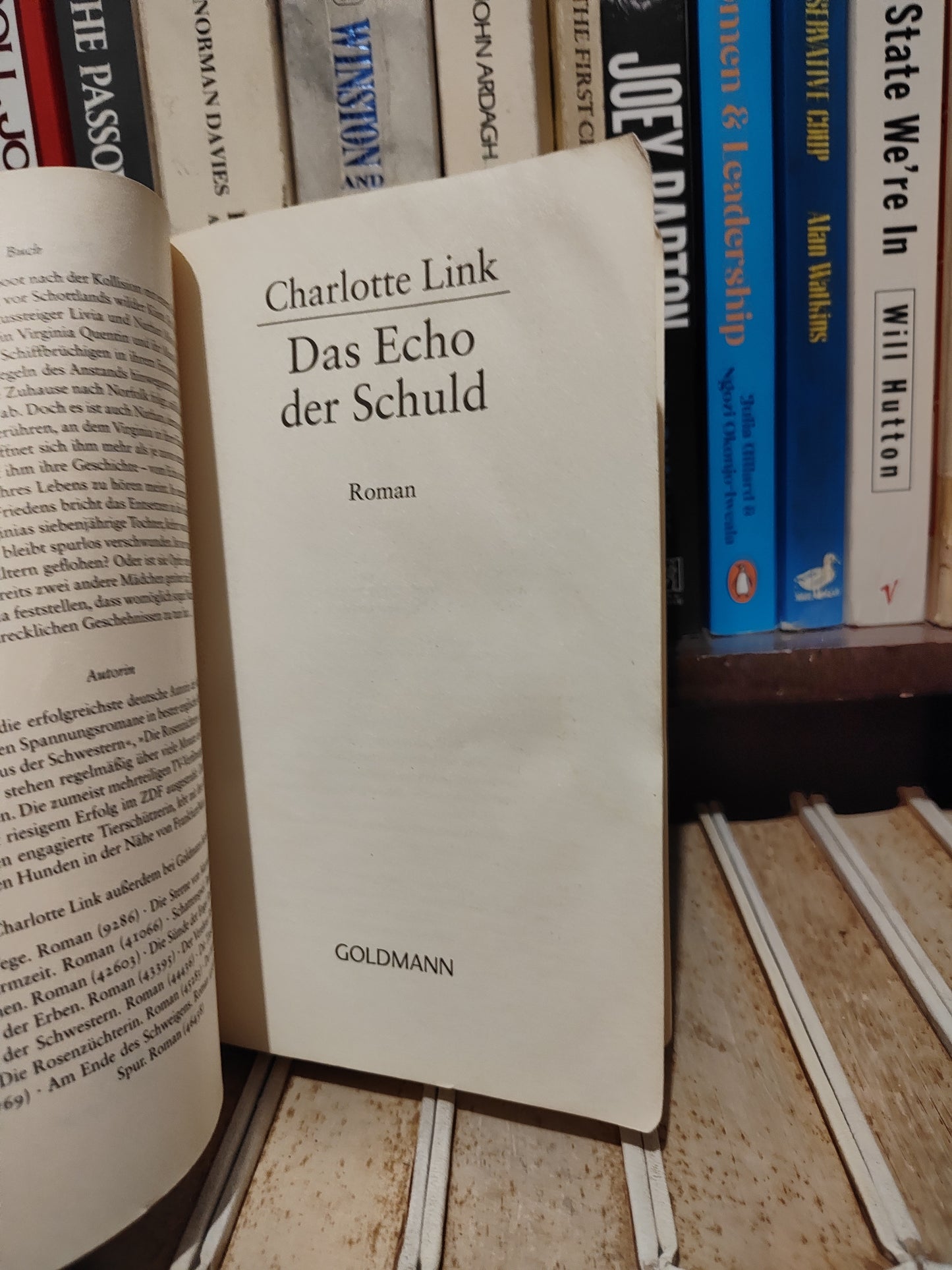 Link - Das echo der schuld