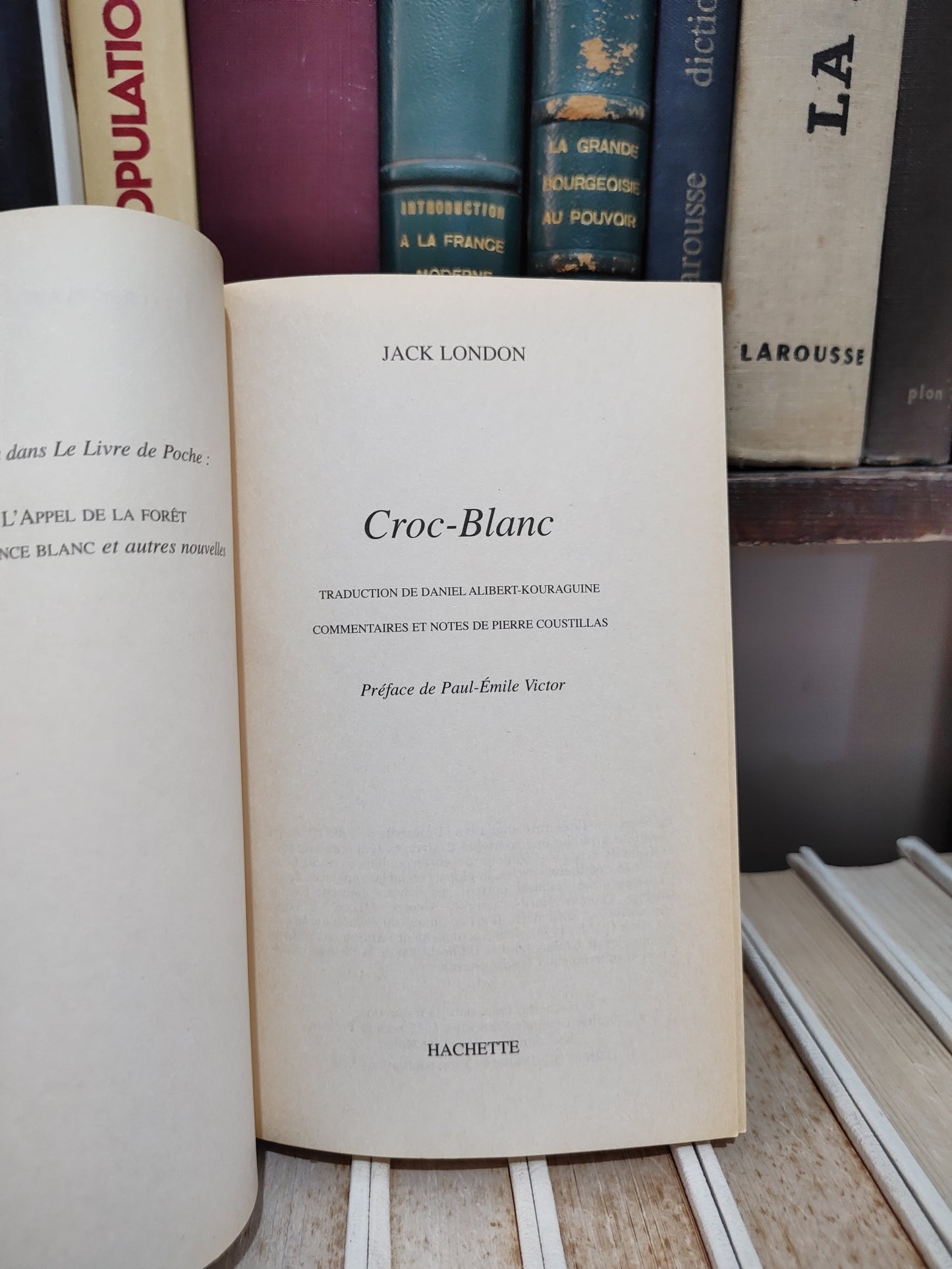 London - Croc-Blanc