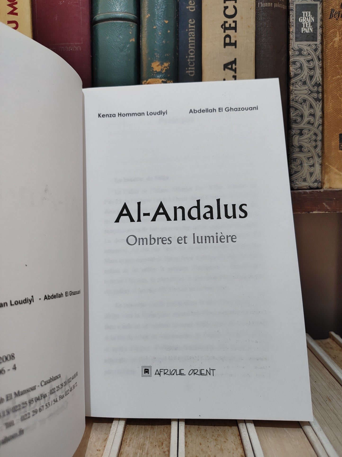 Loudiyi - Al-Andalus Ombres et lumière