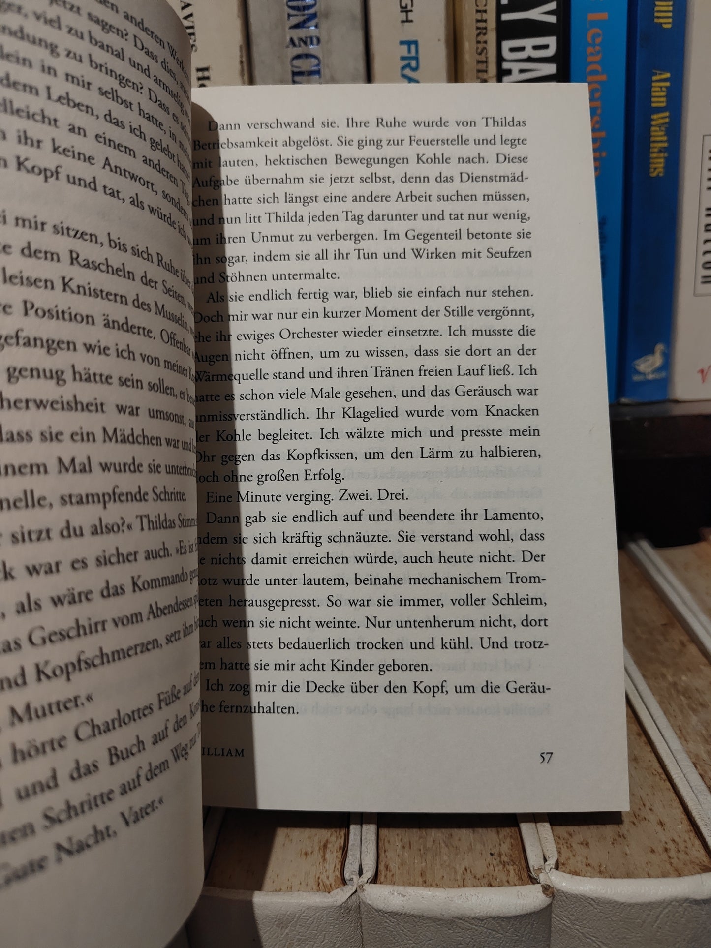 Lunde - Die geschichite der bienen