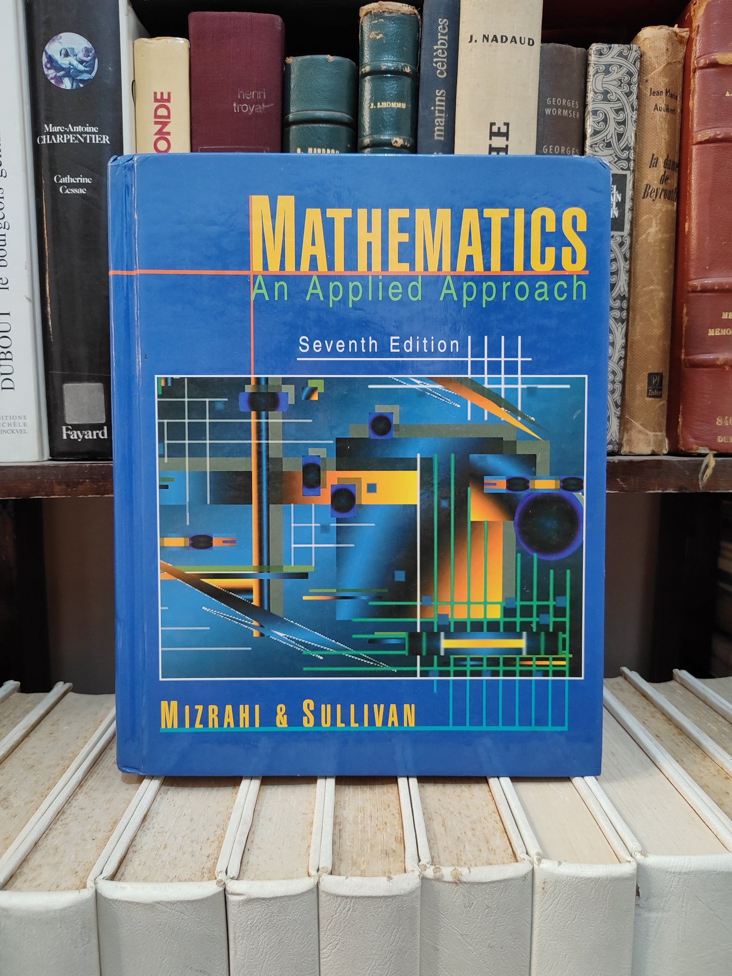 MIzrahi - Mathematics an Applied Approch 7 edition