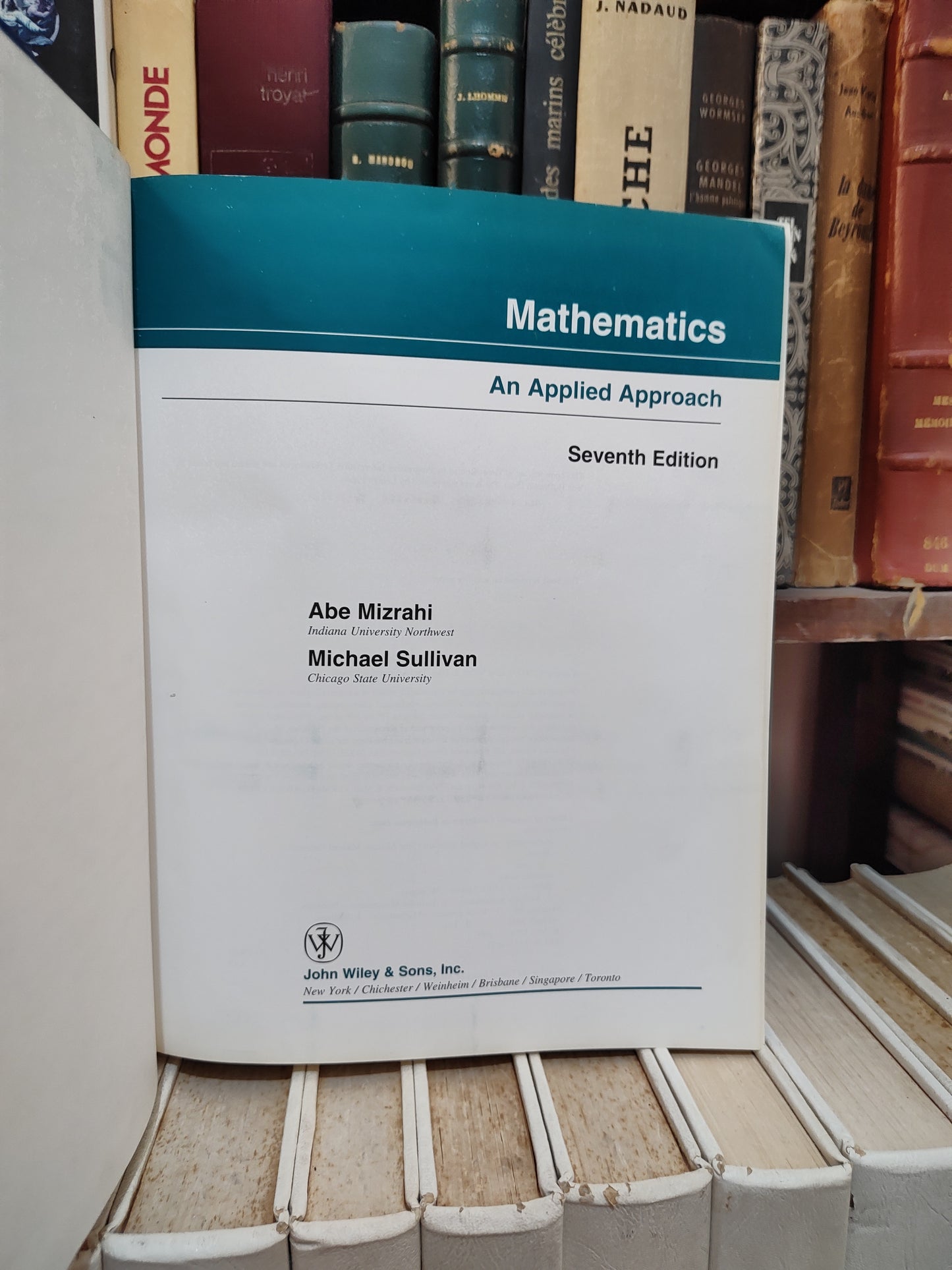 MIzrahi - Mathematics an Applied Approch 7 edition