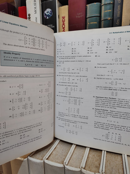 MIzrahi - Mathematics an Applied Approch 7 edition