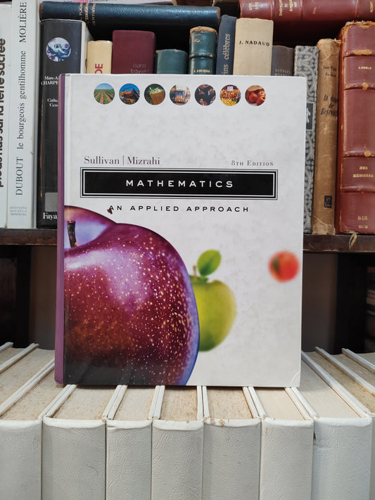 MIzrahi - Mathematics an Applied Approch 8 edition