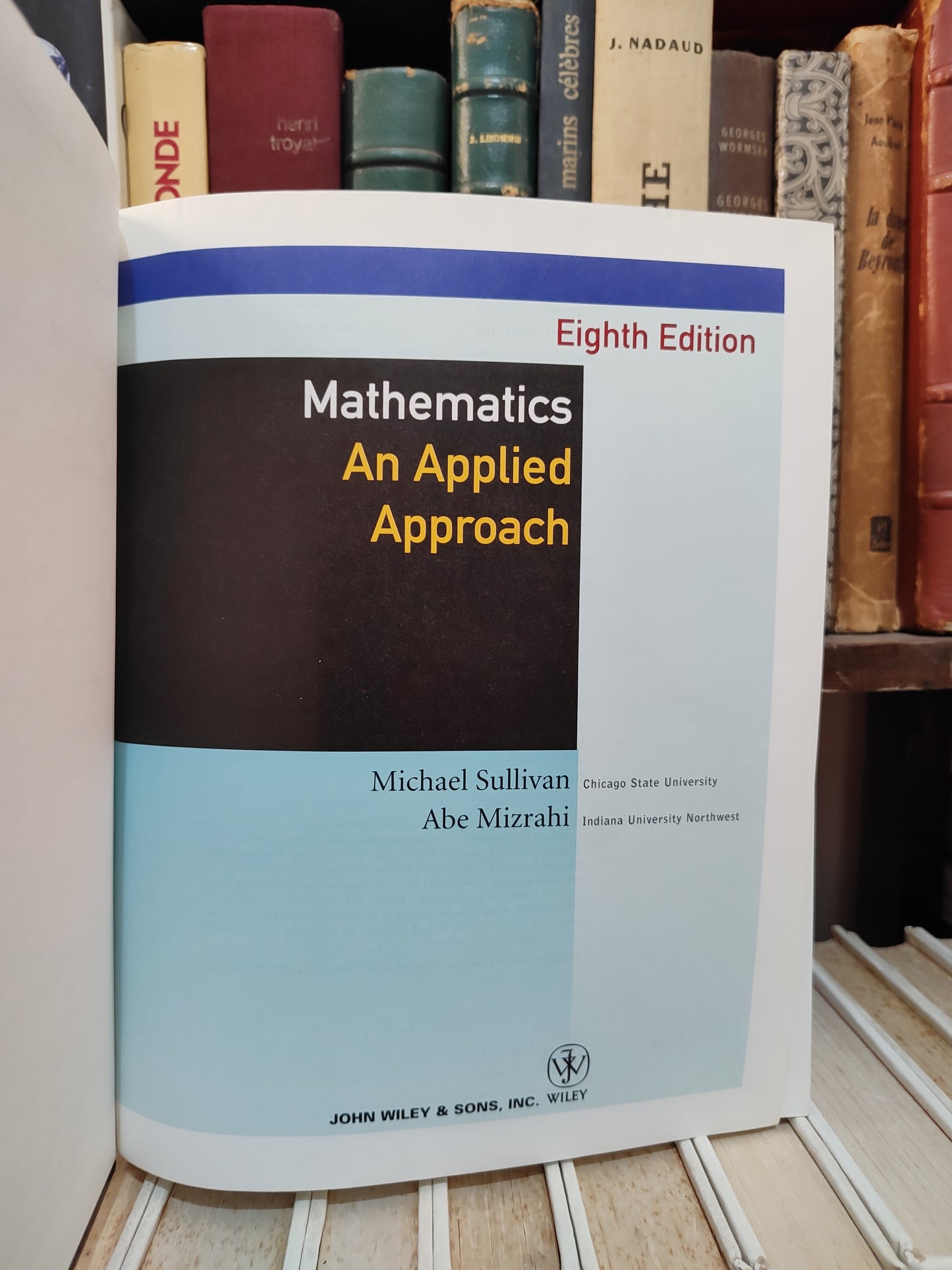 MIzrahi - Mathematics an Applied Approch 8 edition