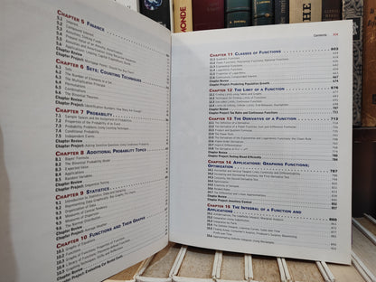 MIzrahi - Mathematics an Applied Approch 8 edition