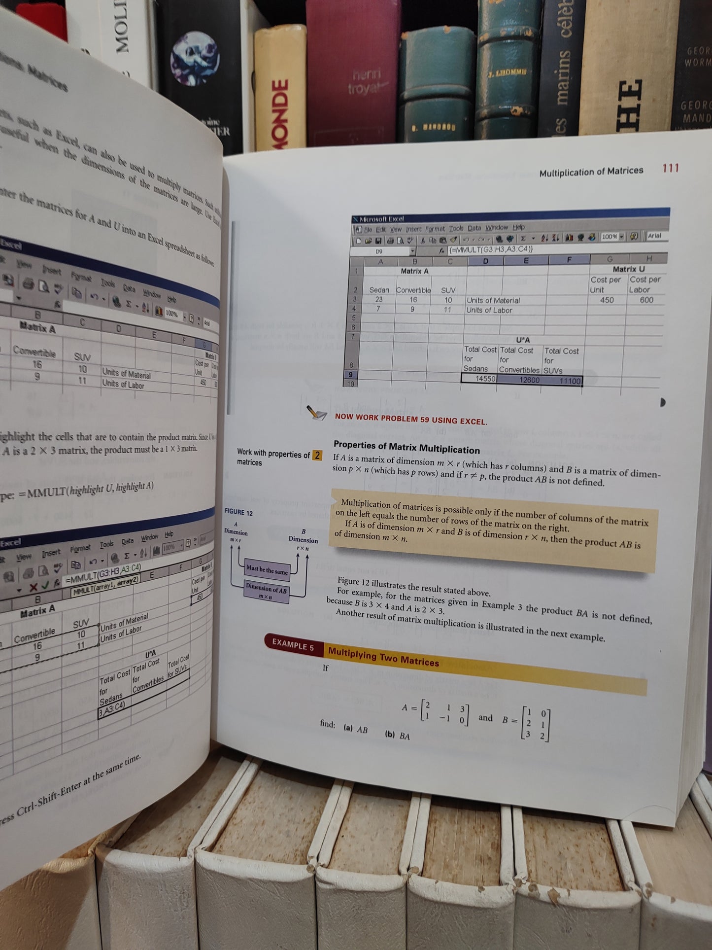 MIzrahi - Mathematics an Applied Approch 8 edition