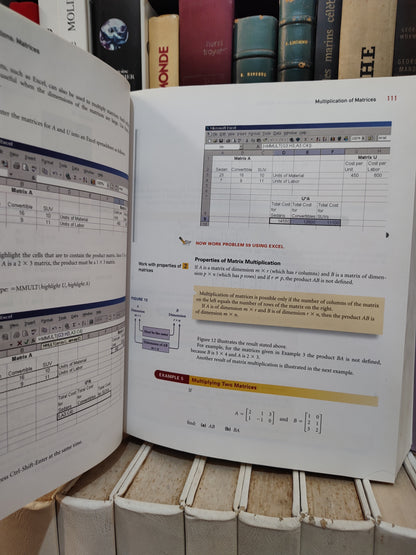 MIzrahi - Mathematics an Applied Approch 8 edition