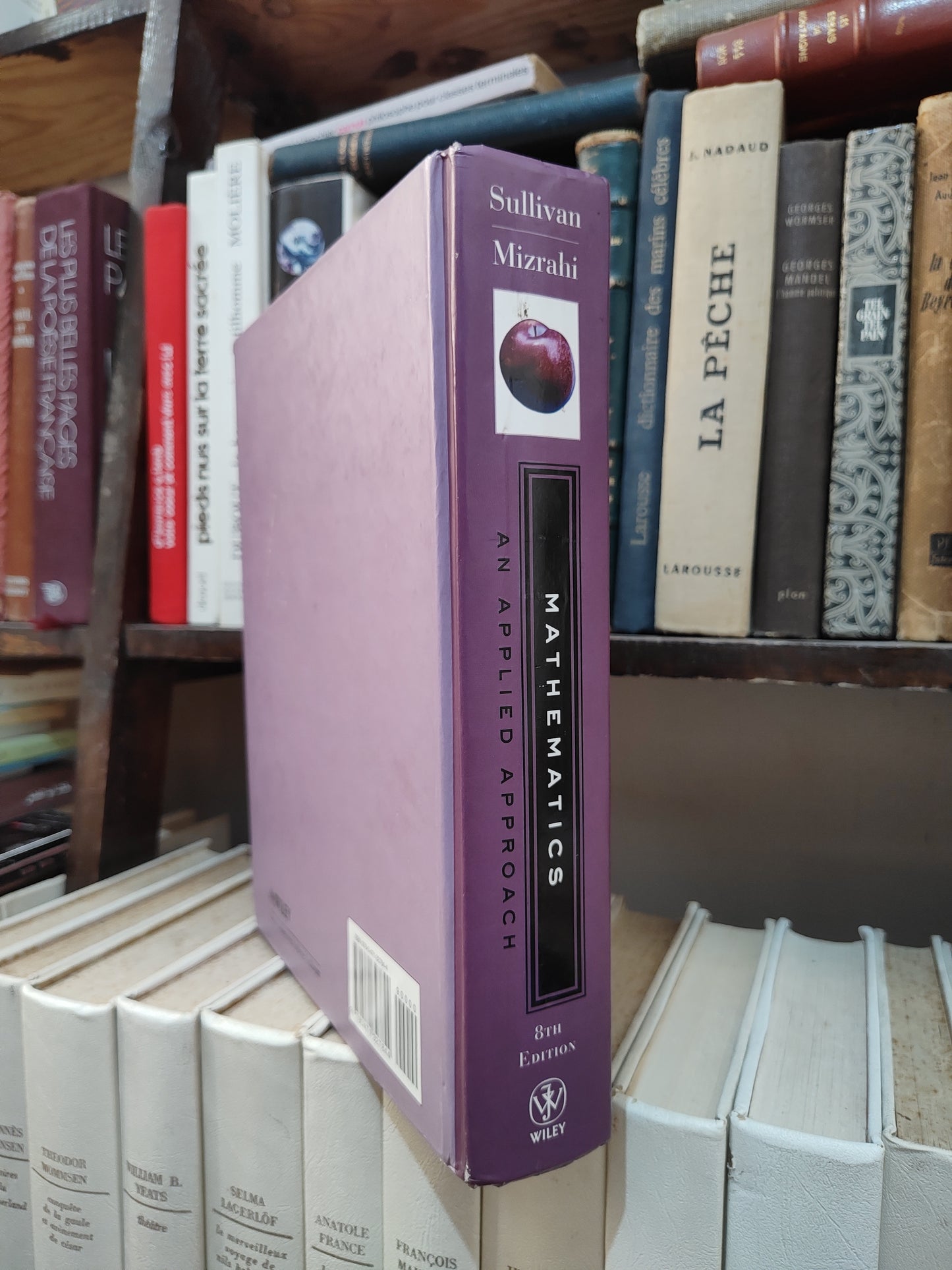 MIzrahi - Mathematics an Applied Approch 8 edition