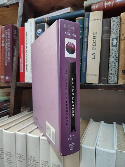 MIzrahi - Mathematics an Applied Approch 8 edition
