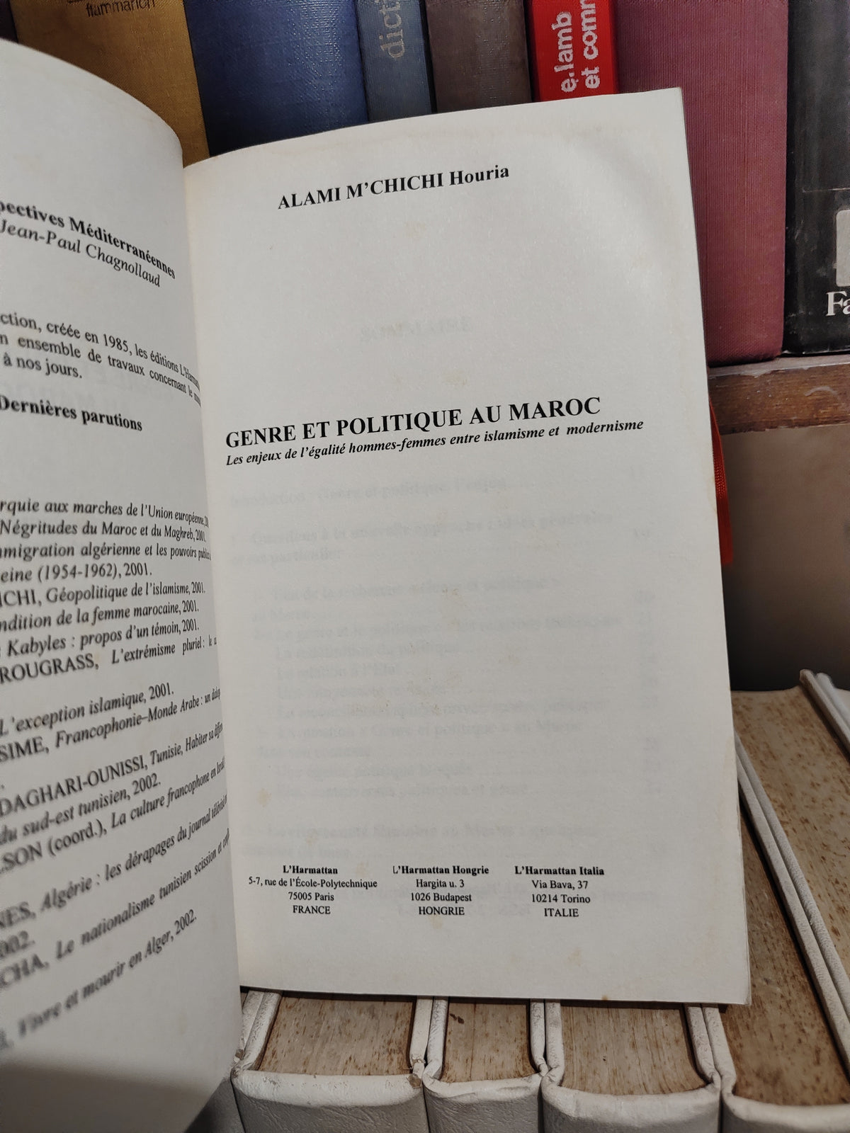M'Chichi - Genre et politique au Maroc : Les enjeux de l'égalité hommes-femmes entre islamisme et modernisme