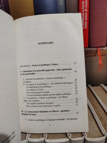 M'Chichi - Genre et politique au Maroc : Les enjeux de l'égalité hommes-femmes entre islamisme et modernisme
