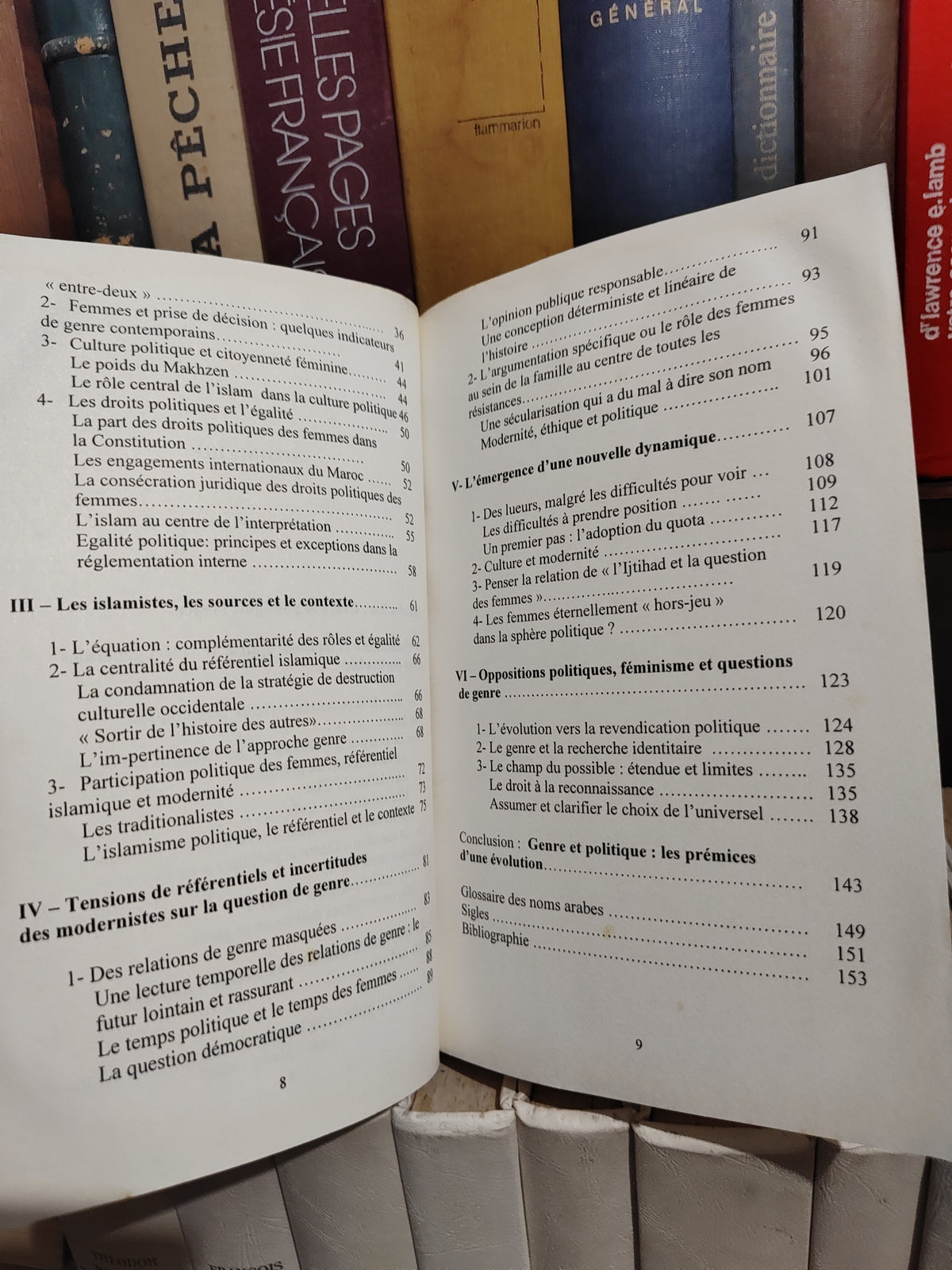 M'Chichi - Genre et politique au Maroc : Les enjeux de l'égalité hommes-femmes entre islamisme et modernisme