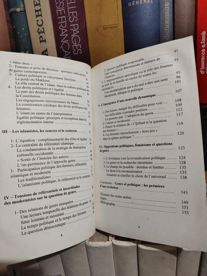 M'Chichi - Genre et politique au Maroc : Les enjeux de l'égalité hommes-femmes entre islamisme et modernisme