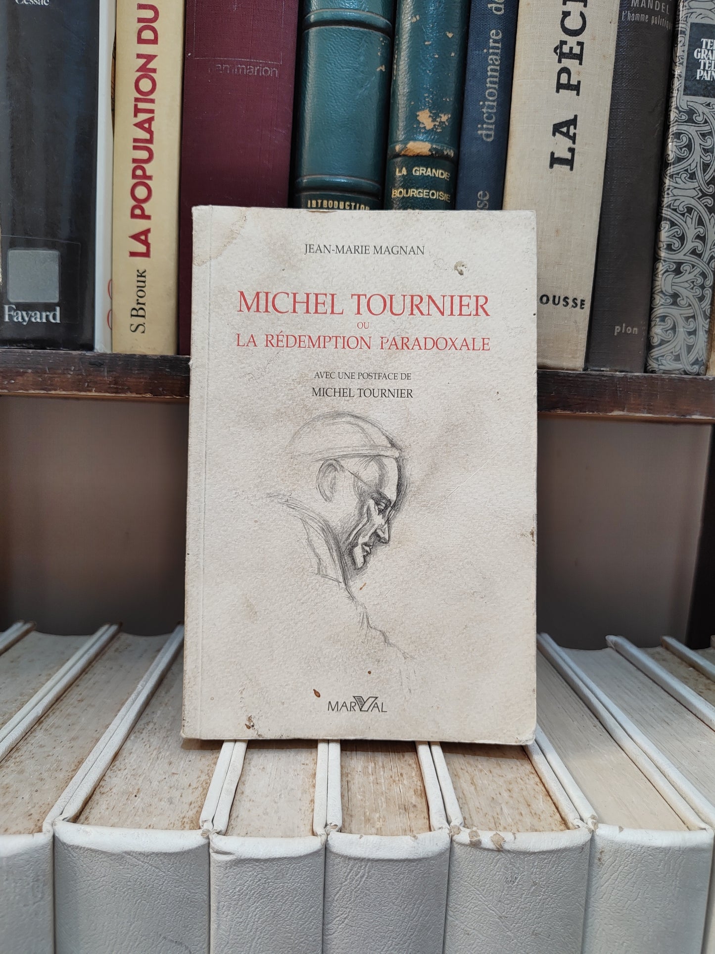 Magnan - Michel Tournier ; La rédemption paradoxale