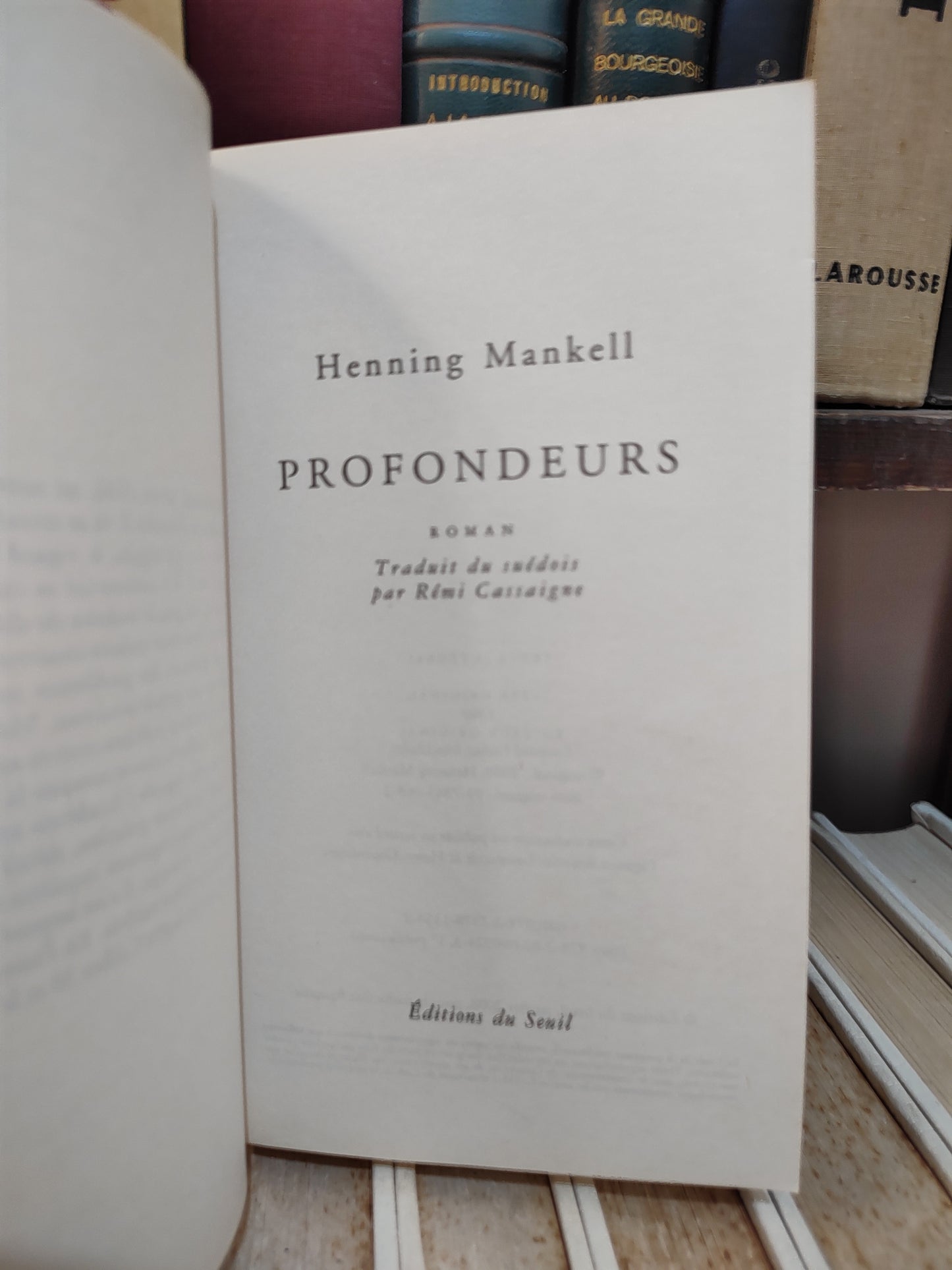 Mankell - Profondeur