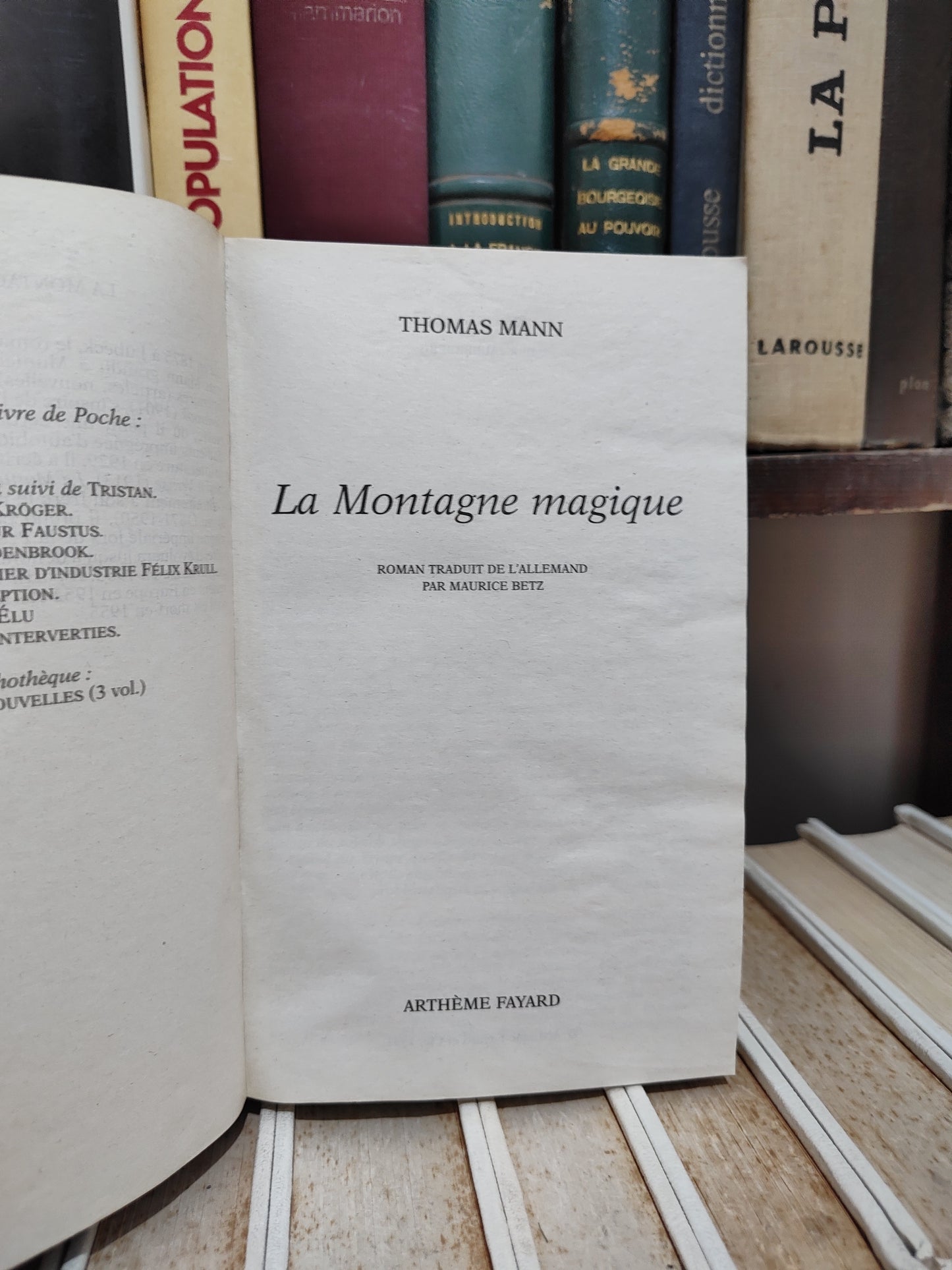 Mann - La montagne magique