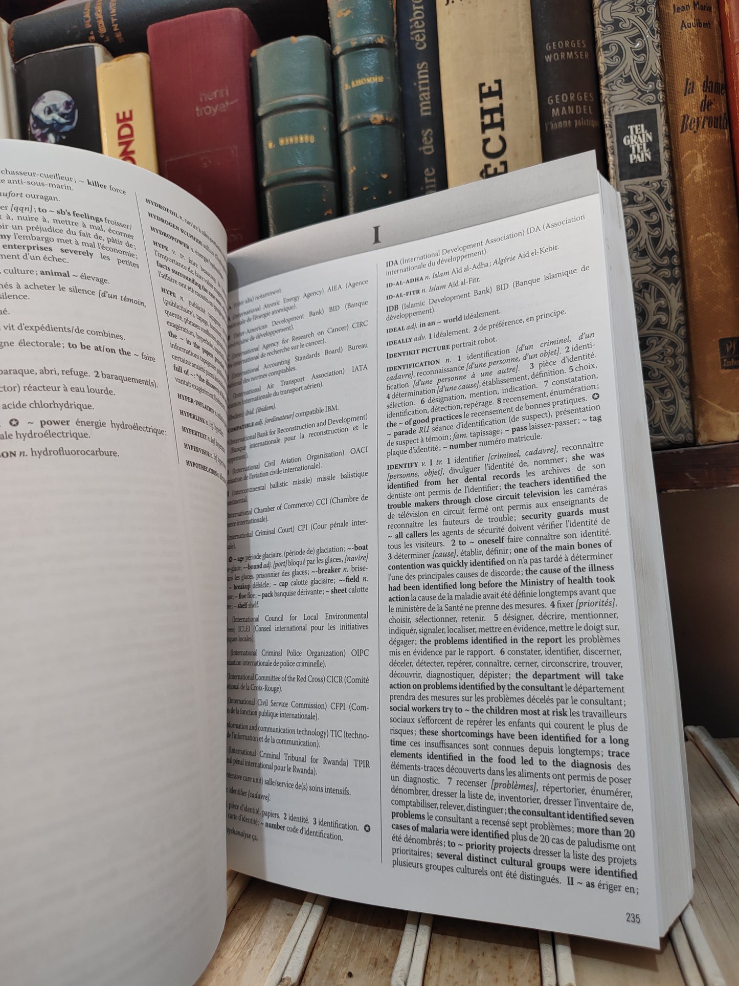 Meertens - Le guide Anglais/Français de la traduction